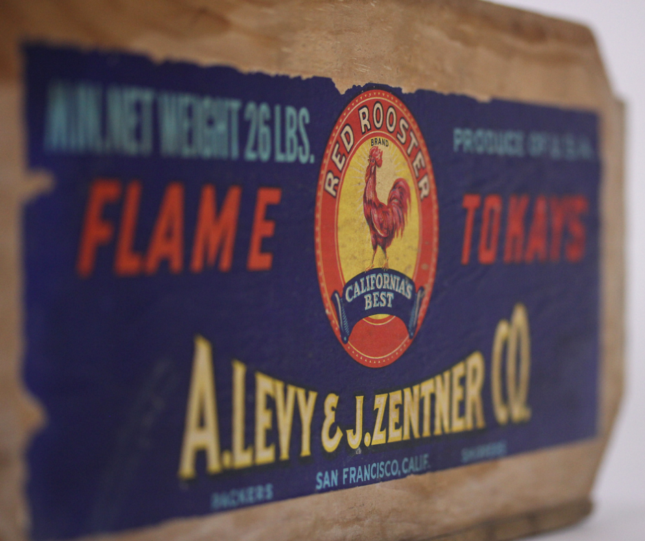 Collection of vintage and antique collectibles 